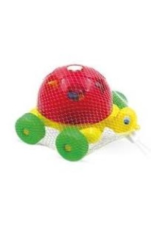 TARTARUGA DIDÁTICA - TURTLE DIDACTIVE REDE